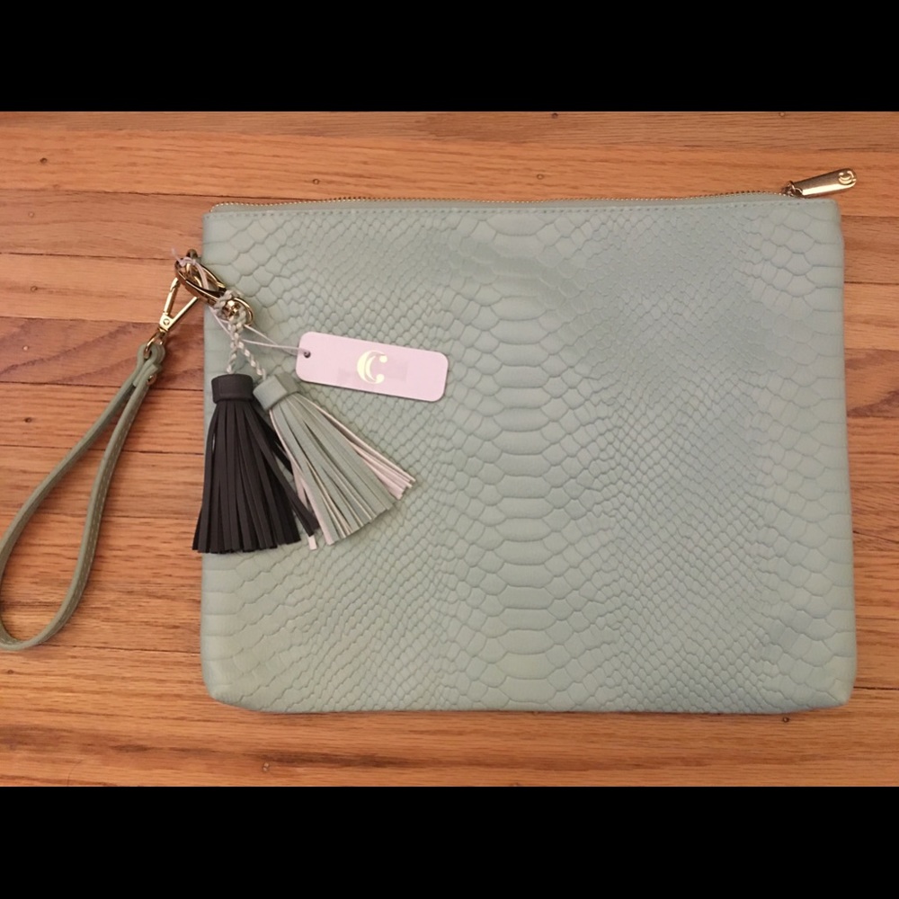 NWT Charming Charlie Clutch
